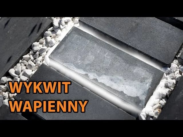 Skuteczne sposoby na usunięcie białego nalotu na kostce brukowej Skuteczne sposoby na usunięcie białego nalotu na kostce brukowej
